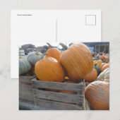 Pumpkin Pile Briefkaart (Voorkant / Achterkant)