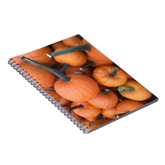 Pumpkin Pile! Notitieboek (Rechterzijde)