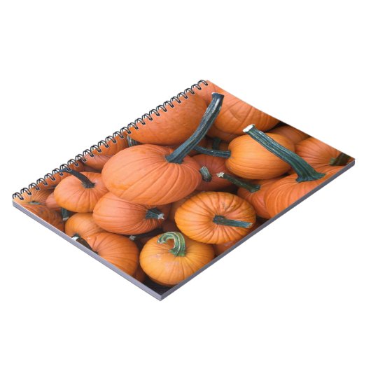 Pumpkin Pile! Notitieboek (Linkerzijde)