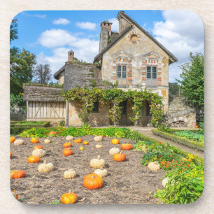 Pumpkin-pleister en onderzetters voor de bouw van