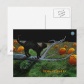 Pumpkin-pleister, Happy Halloween Briefkaart (Voorkant / Achterkant)