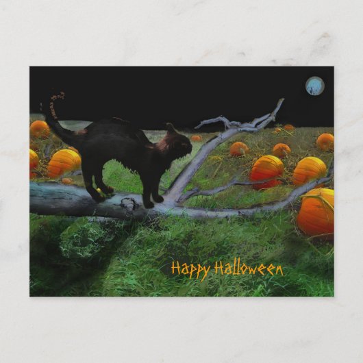 Pumpkin-pleister, Happy Halloween Briefkaart (Voorkant)