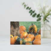Pumpkin-pleister met een boom briefkaart (Staand voorkant)