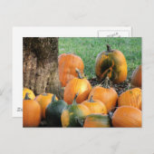 Pumpkin-pleister met een boom briefkaart (Voorkant / Achterkant)