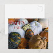 Pumpkin Postcard Briefkaart (Voorkant / Achterkant)