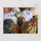 Pumpkin Postcard Briefkaart (Voorkant)