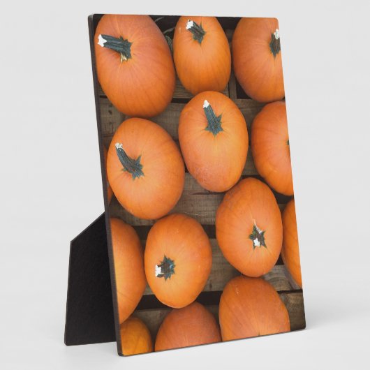 Pumpkin Rows Fotoplaat (Zijkant)