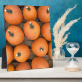 Pumpkin Rows Fotoplaat (Zijkant)