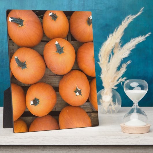 Pumpkin Rows Fotoplaat (Zijkant)