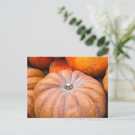 Pumpkin Season Briefkaart (Staand voorkant)