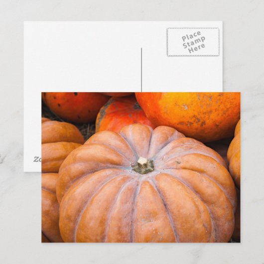 Pumpkin Season Briefkaart (Voorkant / Achterkant)