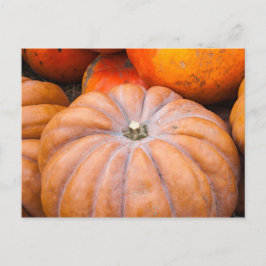 Pumpkin Season Briefkaart