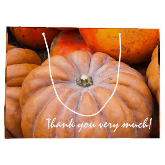 Pumpkin Season Two-teksten Groot Cadeauzakje (Achterkant)