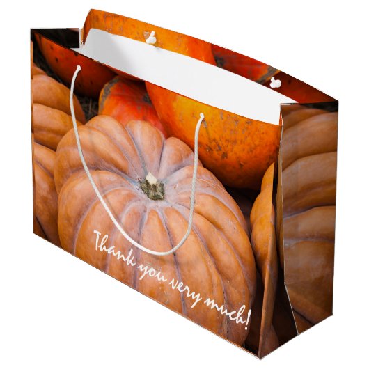 Pumpkin Season Two-teksten Groot Cadeauzakje (Achterkant Gekanteld)