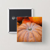 Pumpkin Season Vierkante Button 5,1 Cm (Voorkant /achterkant)