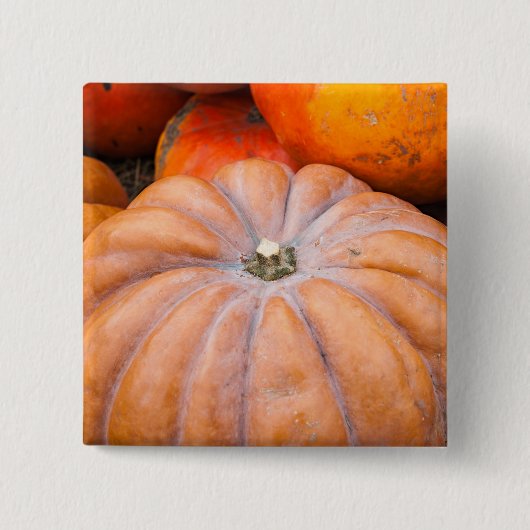 Pumpkin Season Vierkante Button 5,1 Cm (Voorkant)