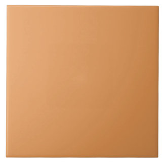 Pumpkin Spice Color | #E69855 Tegeltje