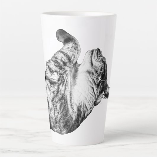 Pumpkin Spice Siesta Latte Mok (Voorkant)