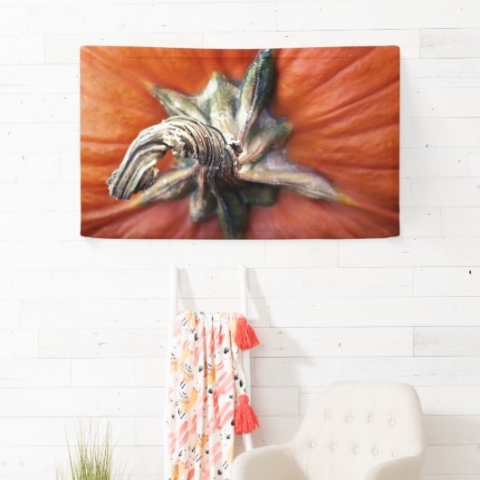 Pumpkin Spiral  Spandoek (Insitu)