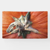 Pumpkin Spiral  Spandoek (Horizontaal)