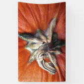 Pumpkin Spiral  Spandoek (Verticaal)