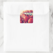 Pumpkin Sticker (Tas)