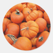 Pumpkin Sticker (Voorkant)