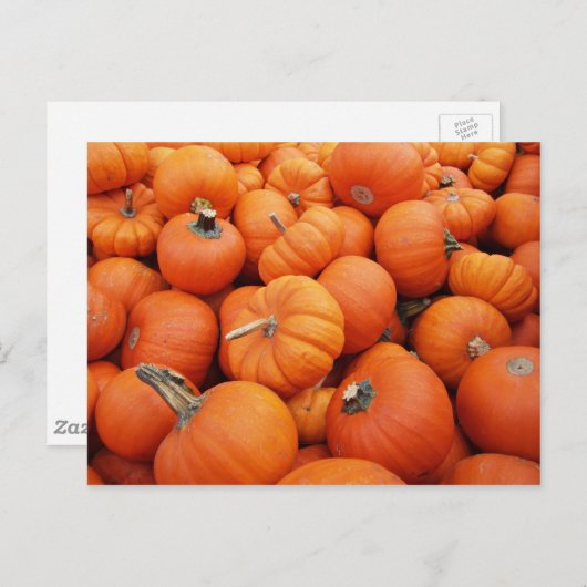 Pumpkin-tijd Briefkaart (Voorkant / Achterkant)