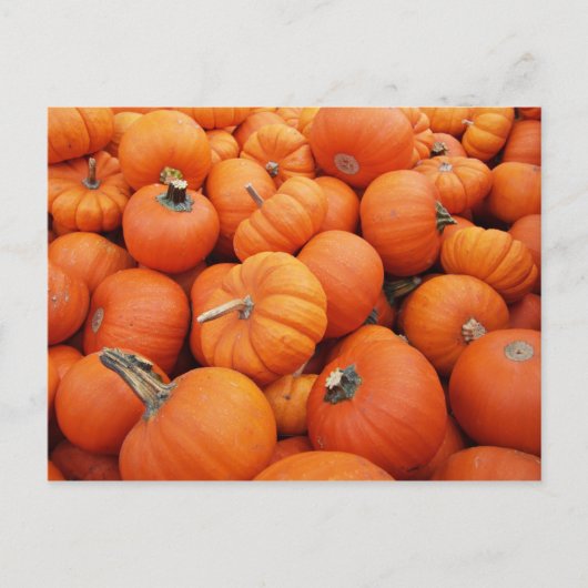 Pumpkin-tijd Briefkaart (Voorkant)