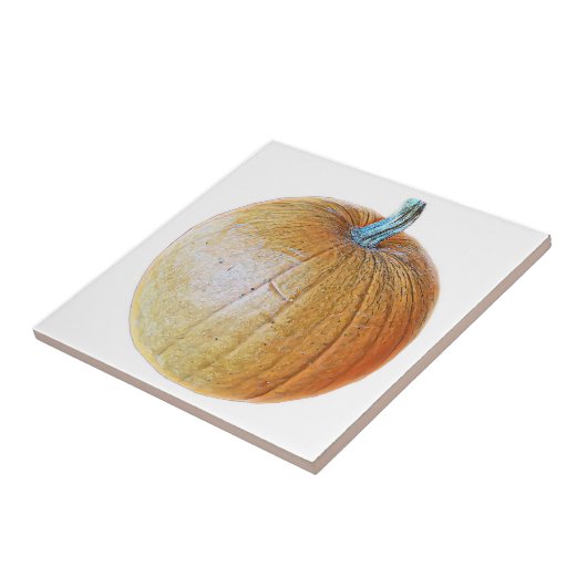 Pumpkin Tile Tegeltje (Zijkant)