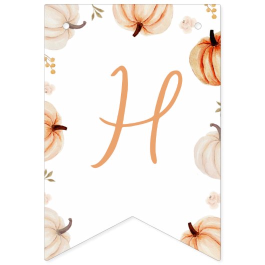 Pumpkin verjaardagsfeestje banner (Tweede vlag)