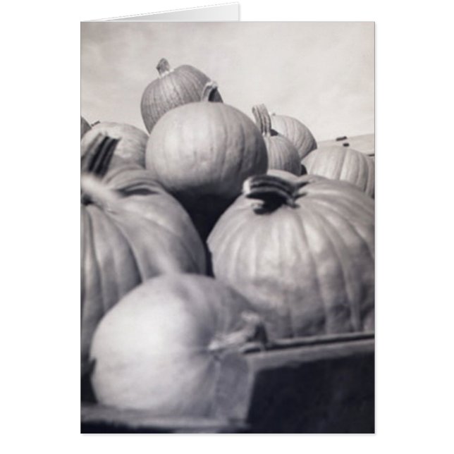 Pumpkin Wagon (Voorkant)