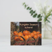 Pumpkin Wagon Photo Briefkaart (Staand voorkant)