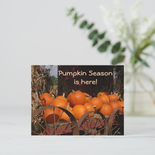 Pumpkin Wagon Photo Briefkaart (Staand voorkant)