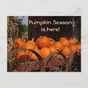 Pumpkin Wagon Photo Briefkaart