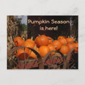 Pumpkin Wagon Photo Briefkaart (Voorkant)