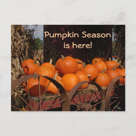 Pumpkin Wagon Photo Briefkaart (Voorkant)