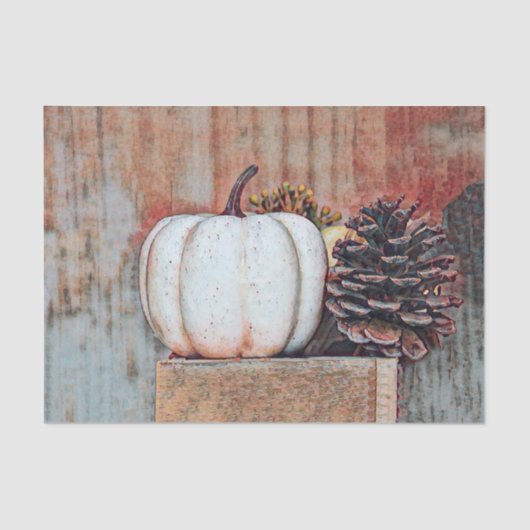 Pumpkin White Autumn Rustic Country Farmhouse Tissuepapier (Voorkant)
