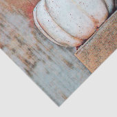 Pumpkin White Autumn Rustic Country Farmhouse Tissuepapier (Detail)