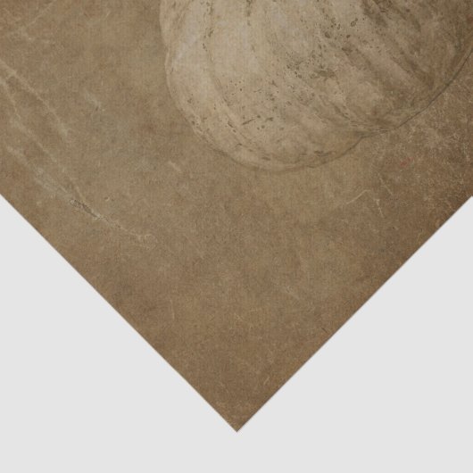 Pumpkin White Sepia Autumn  Grunge Texture Tissuepapier (Detail)