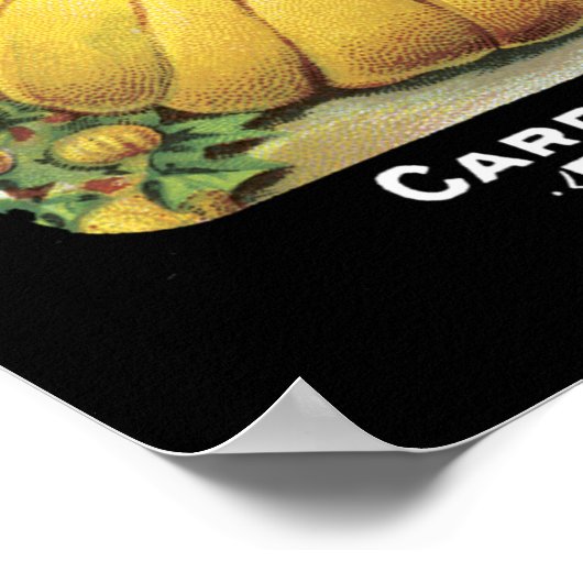 Pumpkin--zaadpakket Poster (Hoek)