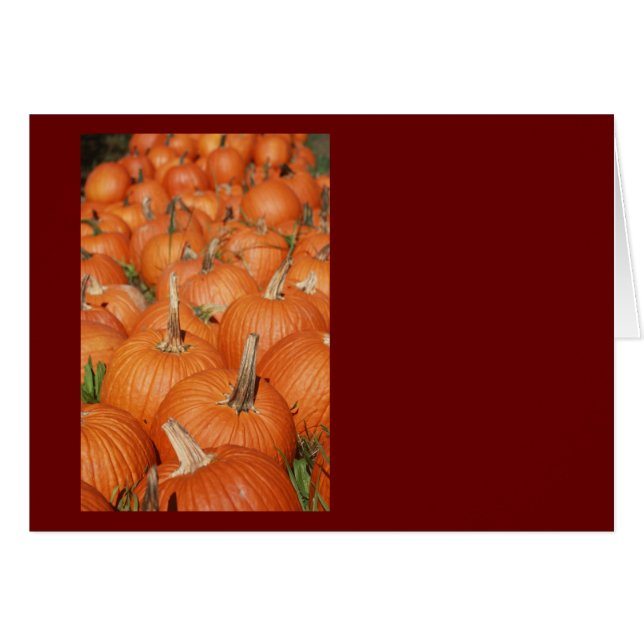 PUMPKINS! (Voorkant Horizontaal)