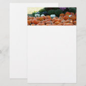 Pumpkins and Mums Autumn Harvest Photography Briefpapier (Voorkant / Achterkant)