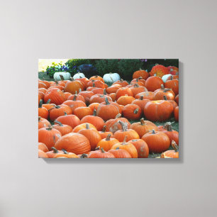 Pumpkins and Mums Autumn Harvest Photography Canvas Afdruk