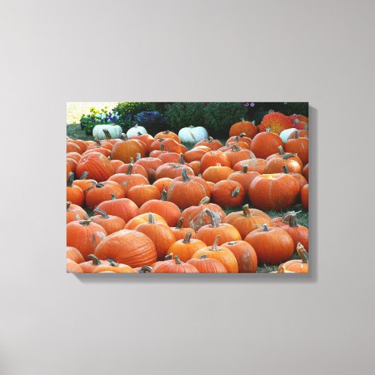 Pumpkins and Mums Autumn Harvest Photography Canvas Afdruk (Voorkant)