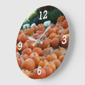 Pumpkins and Mums Autumn Harvest Photography Grote Klok (Hoek)