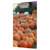 Pumpkins and Mums Autumn Harvest Photography Klembord (Links)