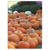 Pumpkins and Mums Autumn Harvest Photography Klembord (Achterkant)