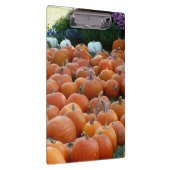 Pumpkins and Mums Autumn Harvest Photography Klembord (Rechts)