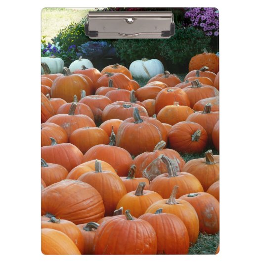 Pumpkins and Mums Autumn Harvest Photography Klembord (Voorkant)